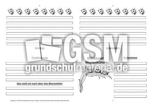 Marienkäfer-Faltbuch-vierseitig-5.pdf